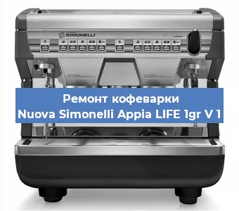 Чистка кофемашины Nuova Simonelli Appia LIFE 1gr V 1 от кофейных масел в Челябинске